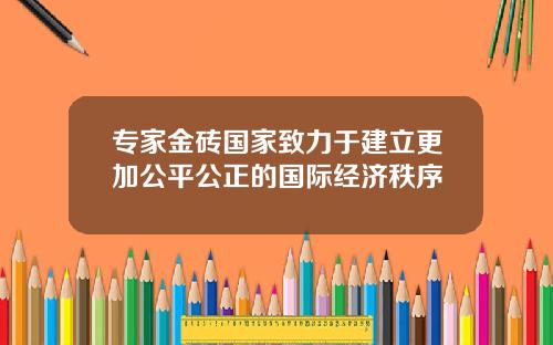 专家金砖国家致力于建立更加公平公正的国际经济秩序