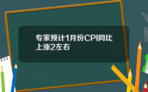 专家预计1月份CPI同比上涨2左右