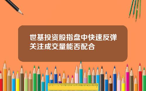 世基投资股指盘中快速反弹关注成交量能否配合