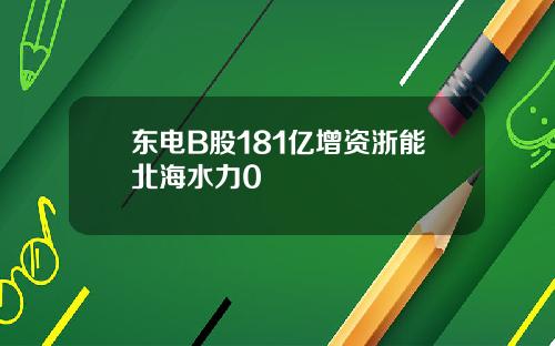 东电B股181亿增资浙能北海水力0