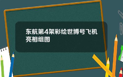 东航第4架彩绘世博号飞机亮相组图