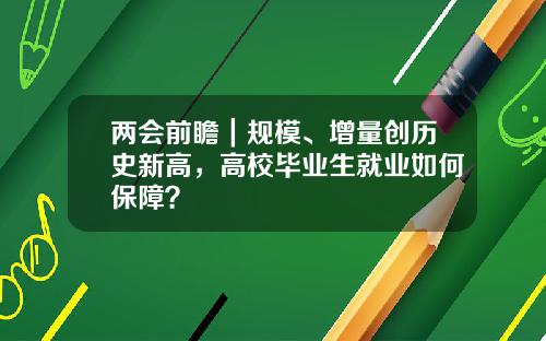 两会前瞻｜规模、增量创历史新高，高校毕业生就业如何保障？