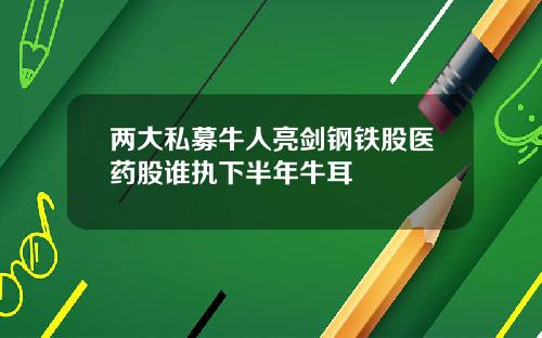 两大私募牛人亮剑钢铁股医药股谁执下半年牛耳