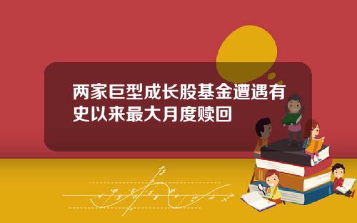 两家巨型成长股基金遭遇有史以来最大月度赎回