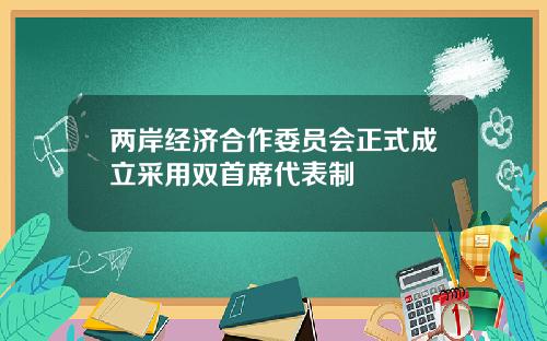 两岸经济合作委员会正式成立采用双首席代表制