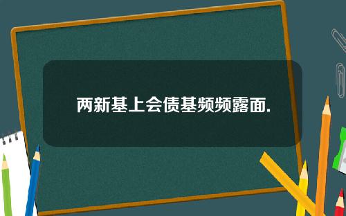两新基上会债基频频露面.