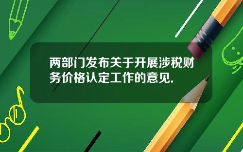 两部门发布关于开展涉税财务价格认定工作的意见.