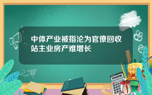 中体产业被指沦为官僚回收站主业房产难增长