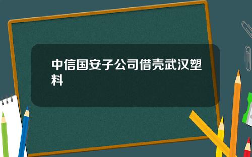 中信国安子公司借壳武汉塑料
