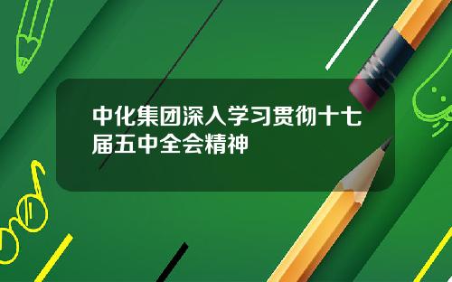 中化集团深入学习贯彻十七届五中全会精神