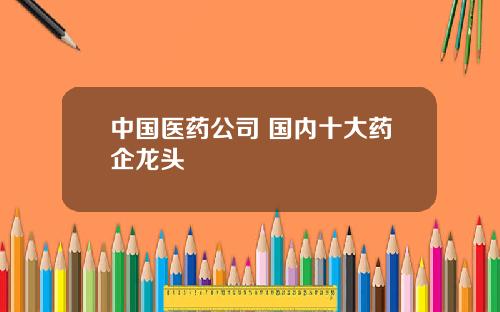 中国医药公司 国内十大药企龙头