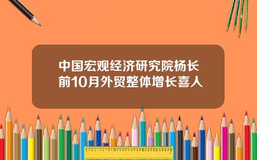 中国宏观经济研究院杨长湧前10月外贸整体增长喜人