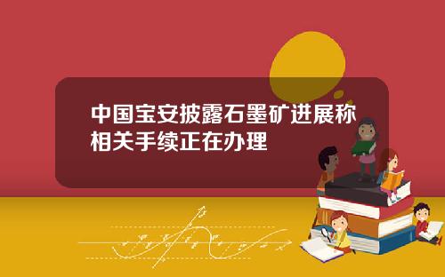 中国宝安披露石墨矿进展称相关手续正在办理