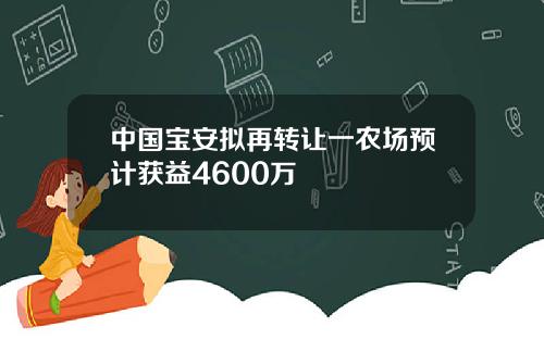 中国宝安拟再转让一农场预计获益4600万
