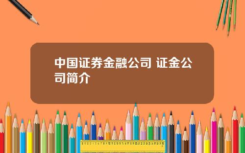 中国证券金融公司 证金公司简介