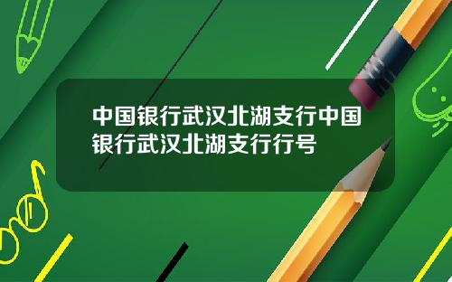 中国银行武汉北湖支行中国银行武汉北湖支行行号