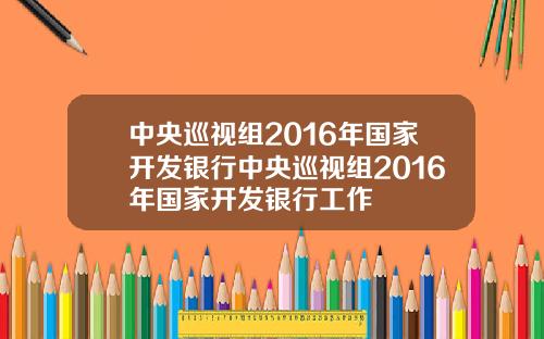 中央巡视组2016年国家开发银行中央巡视组2016年国家开发银行工作