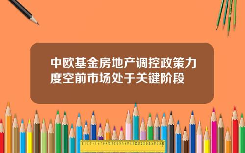 中欧基金房地产调控政策力度空前市场处于关键阶段