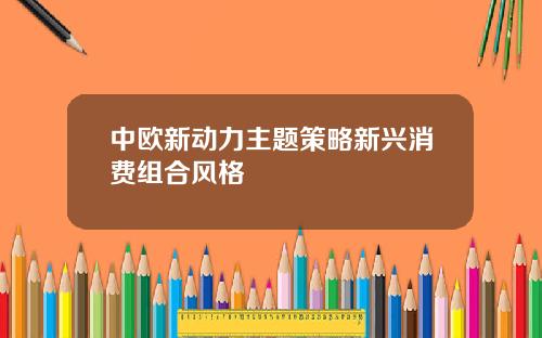 中欧新动力主题策略新兴消费组合风格