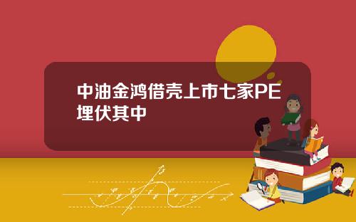 中油金鸿借壳上市七家PE埋伏其中