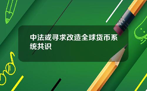 中法或寻求改造全球货币系统共识