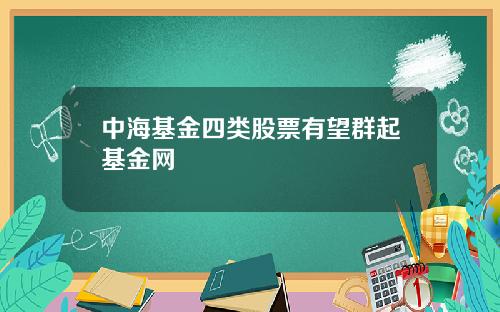 中海基金四类股票有望群起基金网