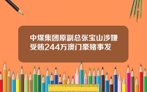 中煤集团原副总张宝山涉嫌受贿244万澳门豪赌事发