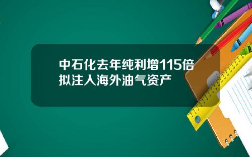 中石化去年纯利增115倍拟注入海外油气资产