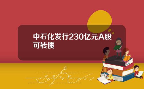 中石化发行230亿元A股可转债