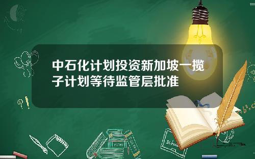 中石化计划投资新加坡一揽子计划等待监管层批准
