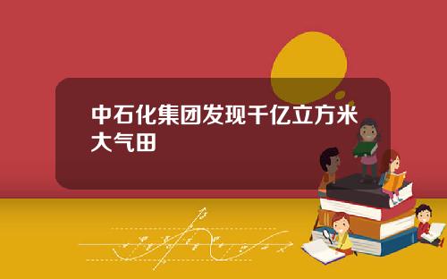 中石化集团发现千亿立方米大气田