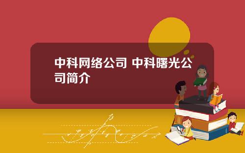 中科网络公司 中科曙光公司简介