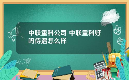 中联重科公司 中联重科好吗待遇怎么样