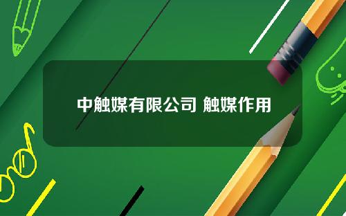 中触媒有限公司 触媒作用