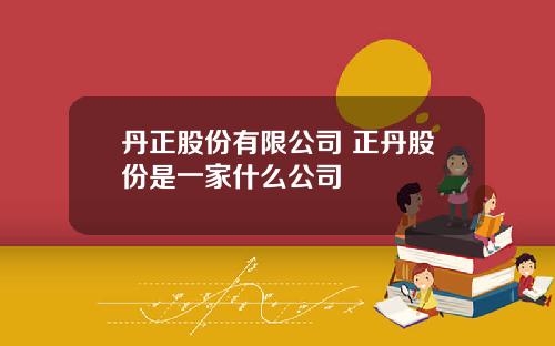 丹正股份有限公司 正丹股份是一家什么公司