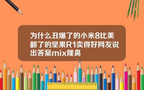 为什么丑爆了的小米8比美翻了的坚果R1卖得好网友说出答案mix隆鼻