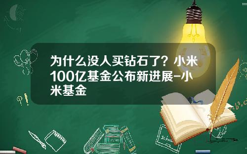 为什么没人买钻石了？小米100亿基金公布新进展-小米基金