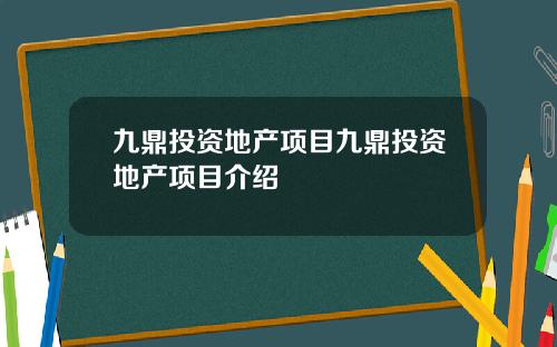九鼎投资地产项目九鼎投资地产项目介绍