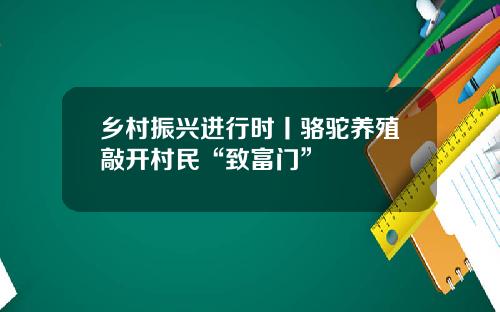 乡村振兴进行时丨骆驼养殖敲开村民“致富门”
