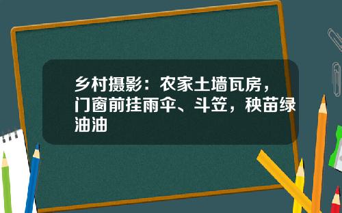 乡村摄影：农家土墙瓦房，门窗前挂雨伞、斗笠，秧苗绿油油