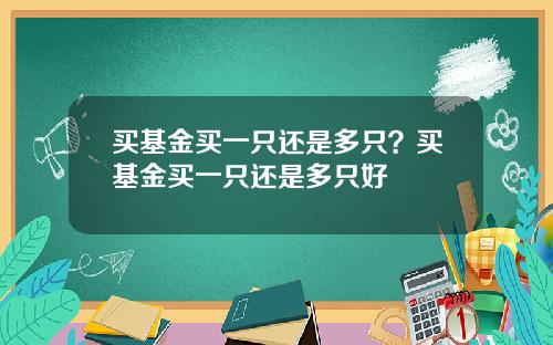 买基金买一只还是多只？买基金买一只还是多只好
