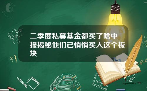 二季度私募基金都买了啥中报揭秘他们已悄悄买入这个板块