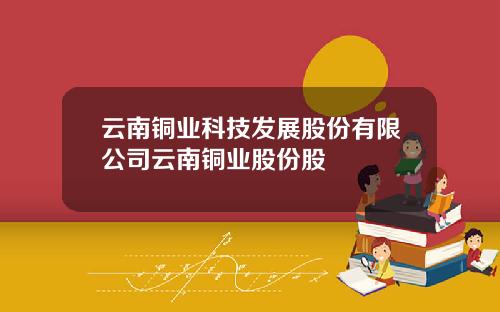 云南铜业科技发展股份有限公司云南铜业股份股