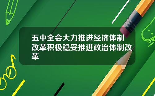 五中全会大力推进经济体制改革积极稳妥推进政治体制改革