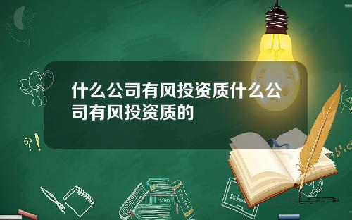 什么公司有风投资质什么公司有风投资质的