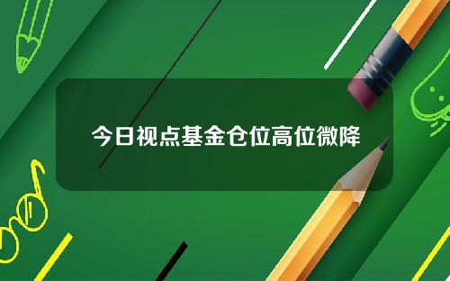 今日视点基金仓位高位微降