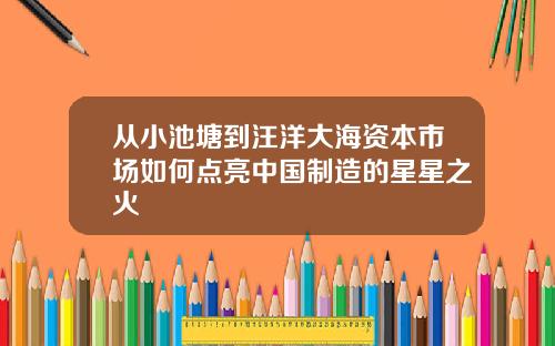 从小池塘到汪洋大海资本市场如何点亮中国制造的星星之火