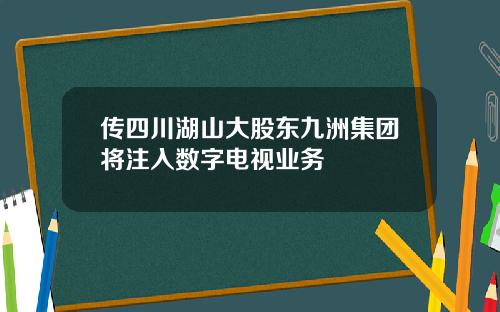 传四川湖山大股东九洲集团将注入数字电视业务