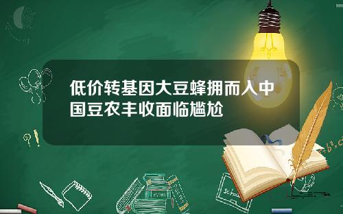 低价转基因大豆蜂拥而入中国豆农丰收面临尴尬