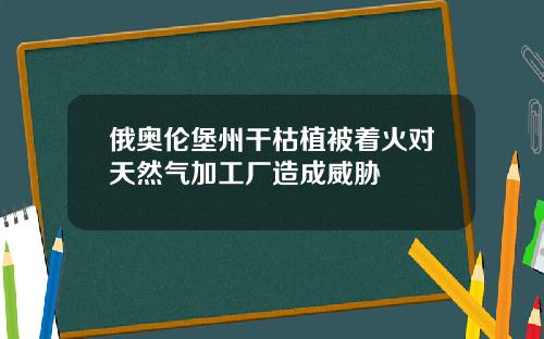 俄奥伦堡州干枯植被着火对天然气加工厂造成威胁